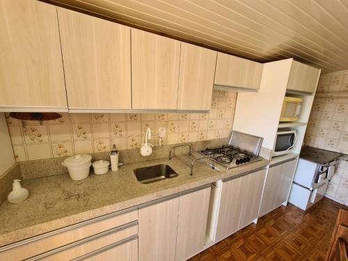eine Küche mit Spüle und Arbeitsplatte in der Unterkunft Casa da Linda in Bento Gonçalves