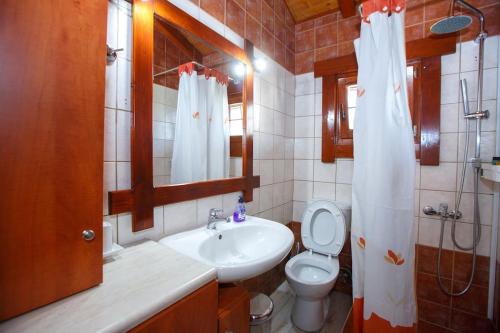a bathroom with a sink and a toilet and a mirror at WOODEN HOUSE IN IOANNINA in Ioannina