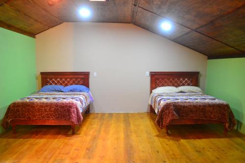 two beds in a room with green walls and wooden floors at Habitación triple zona centro in Zacatlán