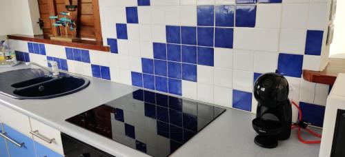 a kitchen with a sink and blue and white tiles at Villa Ansalane in Quartiers Anse à lʼÂne