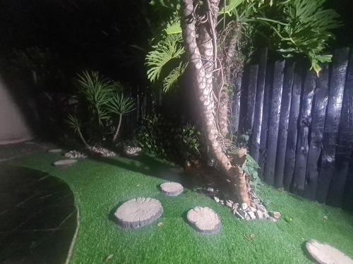 Jardín al aire libre en Halfway Gardens Home