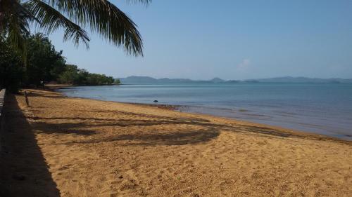 a beach with a palm tree and the ocean at Sunflower Villas in Ko Chang