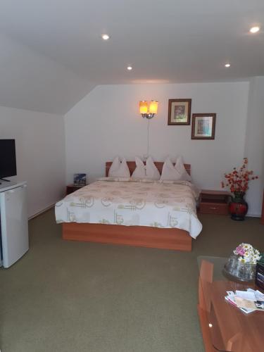 a bedroom with a large bed and a television at Pensiunea Floare de Colt in Sinaia