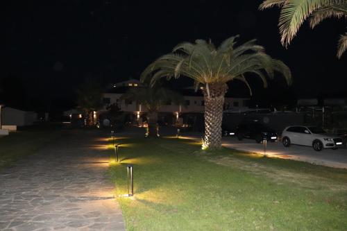 a palm tree with lights in a yard at night at The Palms novasithonia in Vourvourou