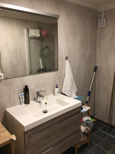uma casa de banho com um lavatório branco e um espelho. em Åsgardane Gjestegard em Gol