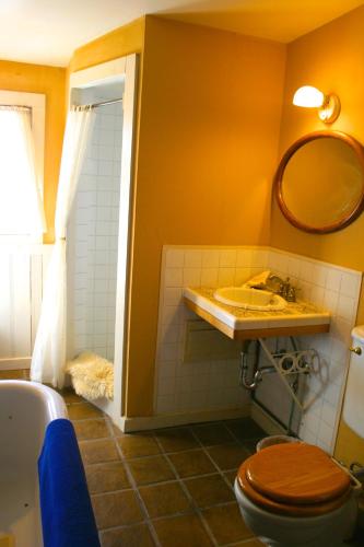 a bathroom with a toilet and a sink at Old Pioneer Garden Country Inn in Unionville