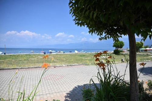 Fotografie z fotogalerie ubytování B & B Pogradec v destinaci Pogradec