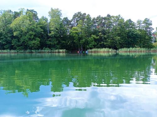 a large body of water with trees in the background at Na Miedzy in Dźwierzuty