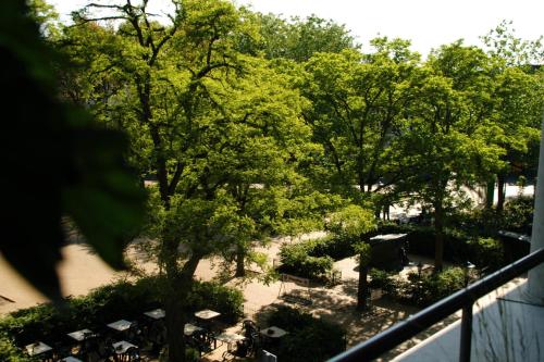 a view of a park with trees and bushes at Treetop Apartment in The Hague