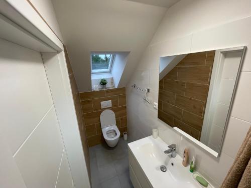 a bathroom with a toilet and a sink and a mirror at Penzion Na Výsluní in Strašín