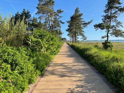 a brick path in a field with trees at Aquamaris Strandresidenz Rügen in Juliusruh