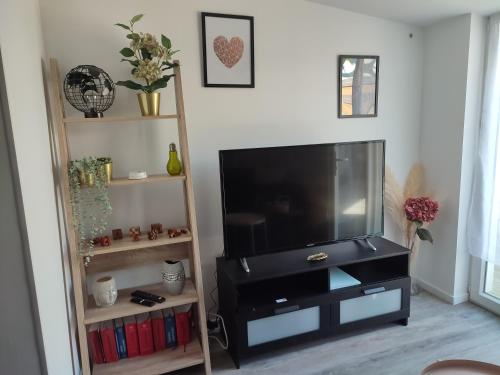 a living room with a television and a book shelf at Cocon avec jardin terrasse privé et parking in Brest