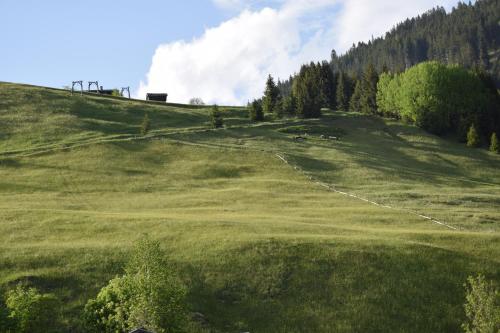 a green hill with trees and a fence on it at Försterhaus in Holzgau