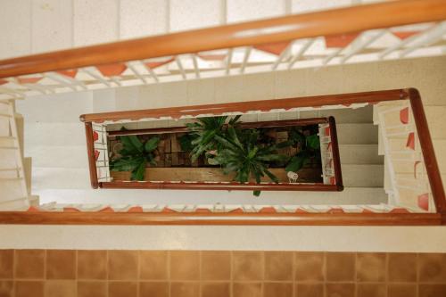 a mirror on a wall with plants in it at Homestay in Tay Ninh in Tây Ninh