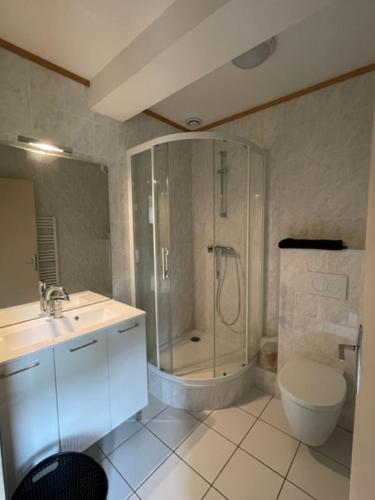 a bathroom with a shower and a toilet and a sink at Gîte du Presbytère in Ayssènes-la-Bacaresse