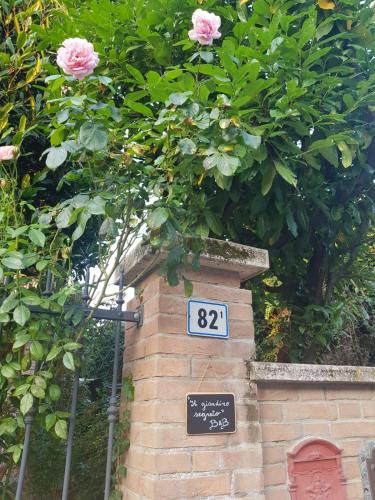 Il giardino segreto – Photos 2