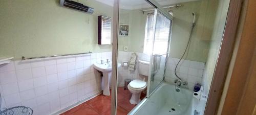 a bathroom with a toilet and a sink and a shower at Villa Moria Memoir Cottage in Dullstroom