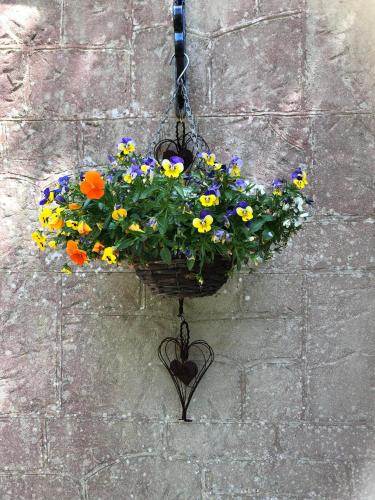 a basket of flowers hanging on a wall at Enchanted Manor in Niton