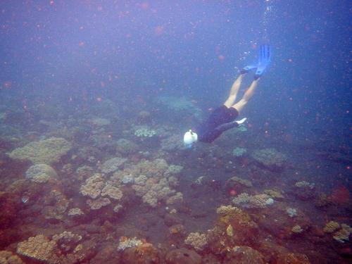 Hosté ubytování Cape Gulah Bali
