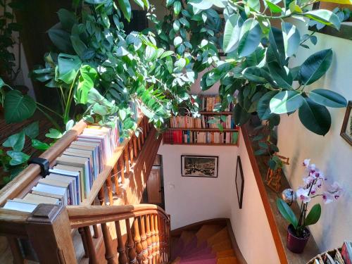 a library with a staircase with books and plants at Köstlhof, Familie Hassler in Oberdrauburg
