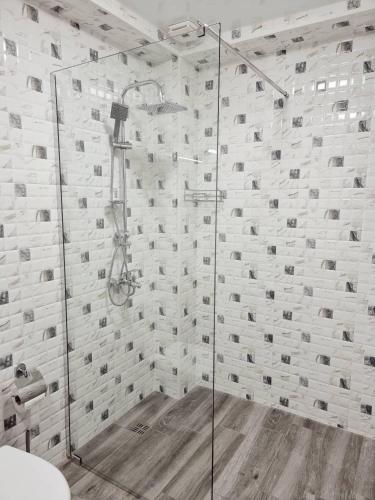 a bathroom with a shower with a glass door at Picasso in Shekvetili