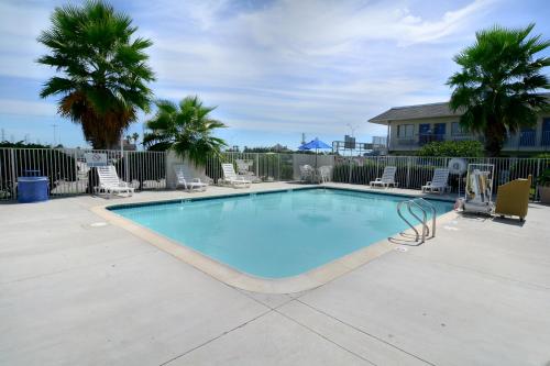 a large swimming pool with chairs and palm trees at Motel 6-Galveston, TX in Galveston