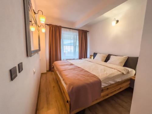 1 dormitorio con 1 cama grande y ventana en Family Apartment, en Sighişoara