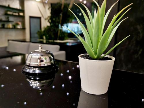 Gallery image of Hotel Juli in Sunny Beach