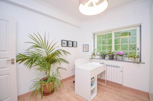 Η κουζίνα ή μικρή κουζίνα στο Amazing Family House with Swimming Pool