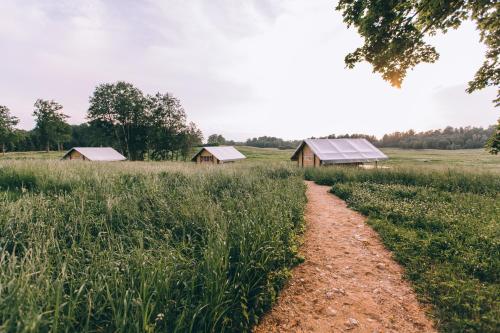 a dirt road leading to two barns in a field at Muuski glempings in Korneti