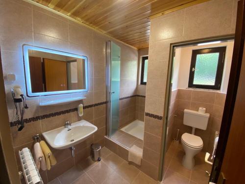 a bathroom with a sink and a toilet and a mirror at Pension Waldschenke am Wörthersee in Velden am Wörthersee