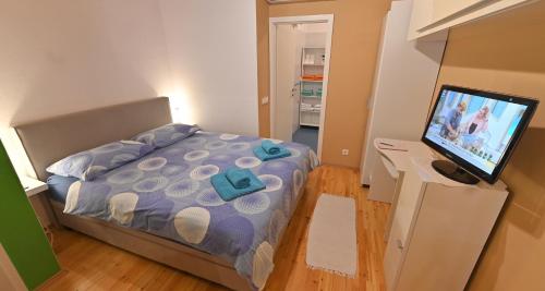 ein Schlafzimmer mit einem Bett und einem Flachbildfernseher in der Unterkunft Apartment Mazza in Piran