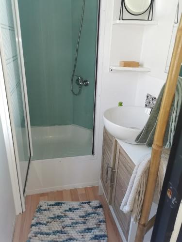 une salle de bain avec un lavabo et une douche dans l'établissement Dépendance cosy entre jardin et jacuzzi privés et piscine partagée, à Aubagne