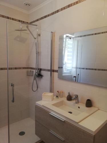 une salle de bain avec un lavabo et une douche avec un miroir dans l'établissement manon, à Biganos