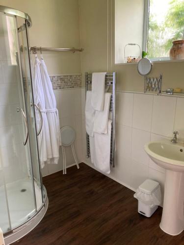 a bathroom with a shower and a sink at Maplestone in Shepton Mallet