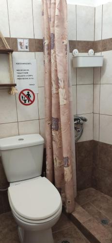 a bathroom with a toilet and a shower curtain at Βίλα Κατερίνα - Villa Katerina in Kokkino Nero