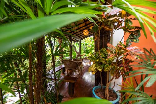 a room filled with lots of different types of plants at Ananda Pousada in Pirenópolis