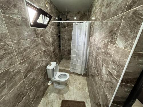 a small bathroom with a toilet and a shower at Леон in Gagra