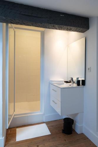 une salle de bain avec une douche avec un lavabo et un miroir dans l'établissement L'estival Champêtre - Métro et tramway a côté, à Toulouse