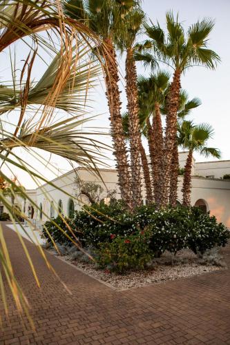 a group of palm trees and flowers in a courtyard at Giardino Dei Pini - Boutique Hotel in Alliste