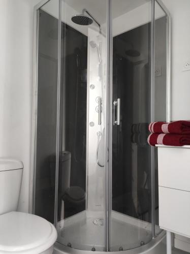 a glass shower in a bathroom with a toilet at 16 rue des Déportés in Charmes