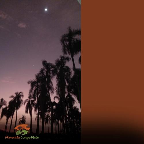 a group of palm trees at night with the moon at Pousada Longe Vista in Tibagi