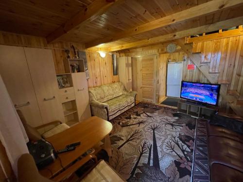 a small living room with a tv and a couch at Wittówka - domek na wyłączność z dala od sąsiadów in Tomaszów Lubelski