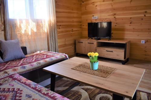 sala de estar con TV y mesa con flores en Durmitor view en Žabljak