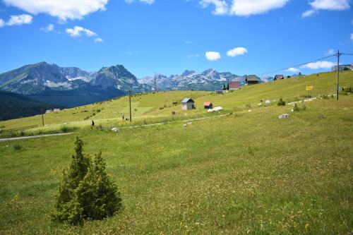 a green grassy hill with mountains in the background at Durmitor view in Žabljak