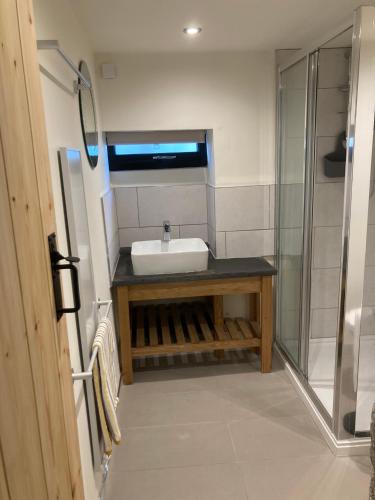 a bathroom with a sink and a shower at The Rowe House in Horton in Ribblesdale