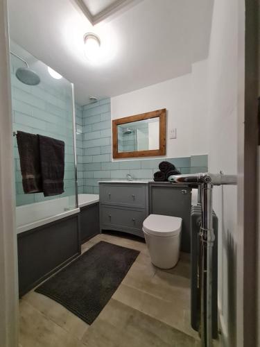 La salle de bains est pourvue de toilettes, d'un lavabo et d'un miroir. dans l'établissement The Little Cottage - Peaceful, Dog Friendly Cottage in 5 Acres, à Glastonbury