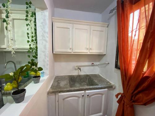 Η κουζίνα ή μικρή κουζίνα στο Dr Adorable Y Comfortable Apt para Su Disfrute