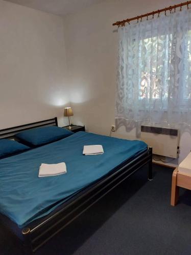 Postel nebo postele na pokoji v ubytování Apartmany-Anna