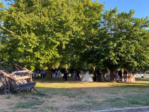 un groupe de personnes debout dans un parc sous les arbres dans l'établissement Domaine de la Reynaude, à Aurons